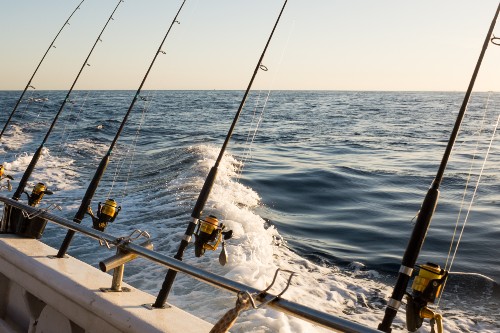 Charter Fishing on Topsail Island